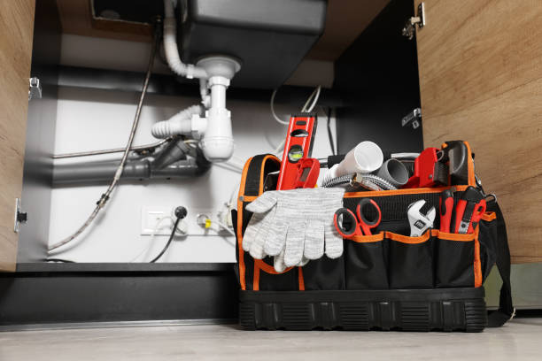 Best Clogged Drain Plumber  in Rose, LA
